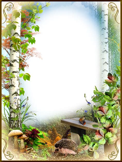 Nature Frame Png Png Image Collection