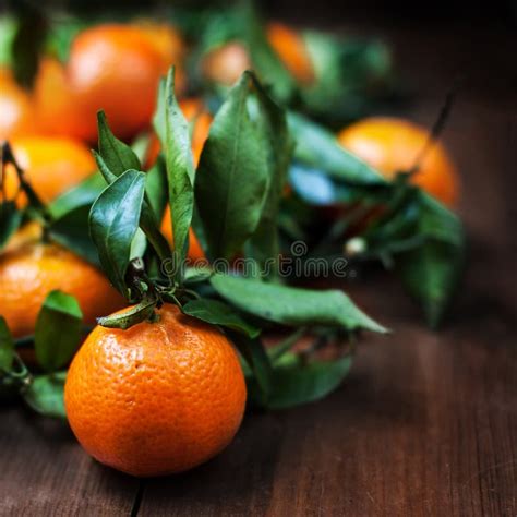 Fresh Mandarin Oranges Fruit With Leaves On Wooden Table With Co Stock