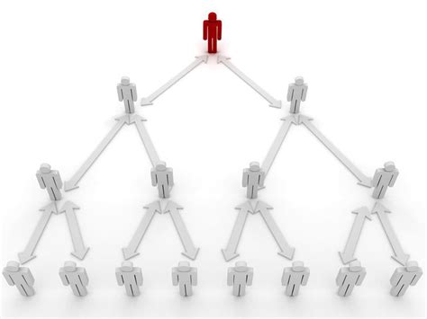 Understanding The Chain Of Command In Your Workplace Organizational