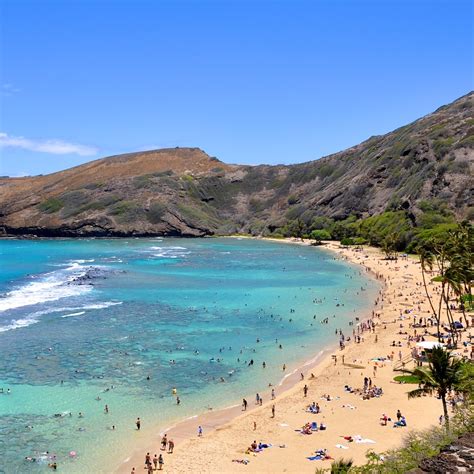 6 Top Swimming Spots In Honolulu Mapping Megan