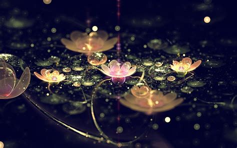 Hd Wallpaper Flowers Lily Pads Wallpaper Flare