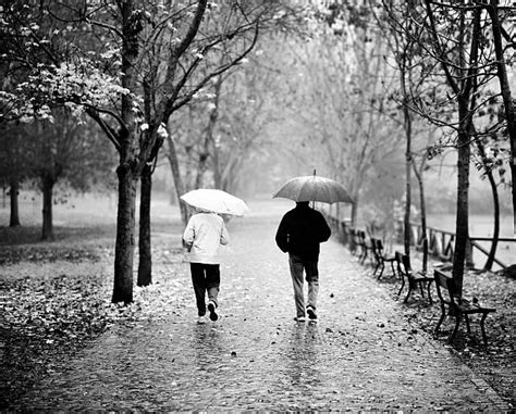 Best Black And White Rain Stock Photos Pictures And Royalty Free Images Istock