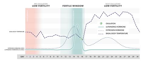 Why Track Fertility Hormones Mira Fertility Tracker