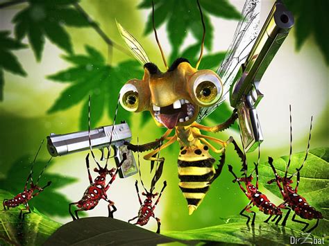 Funny Insects Funny Animals