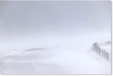 Blowing Snow Howling Winds Create Hazardous Travel In Newfoundland