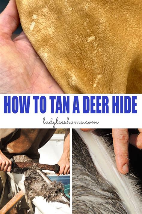 How To Tan A Deer Hide How To Tan Deer Hide Tanning Deer Hide