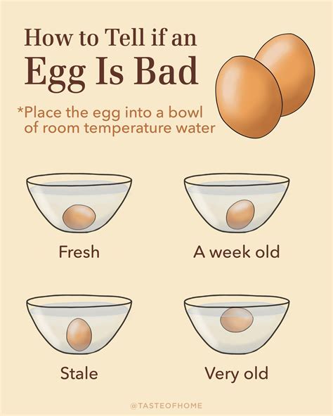 The List Of 10 How To Know If An Egg Is Bad
