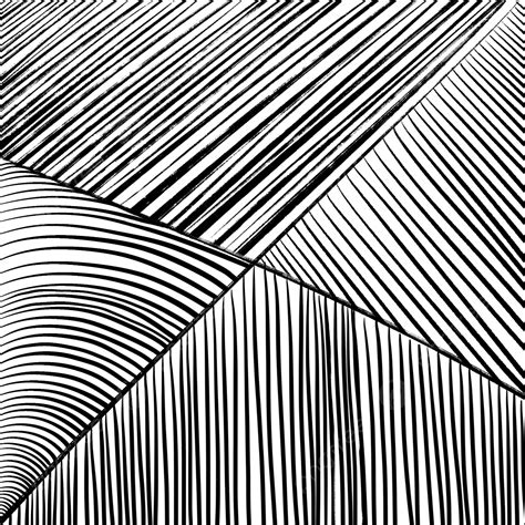 Striped Texture Abstract Black Lines Trip Drawing Texture Drawing