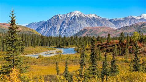 Denali National Park Alaska Holidays Steppes Travel