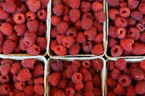 I cibi permessi e quelli vietati ai celiaci. Franchising Gluten Free - Alimenti per Celiaci ...