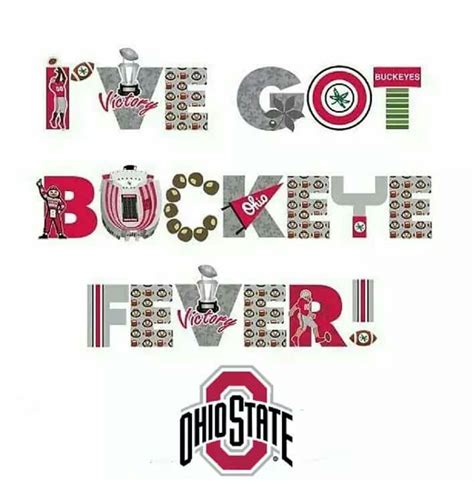 Pin By Carole Musto On Go Bucks O H I O Ohio State Buckeyes Football