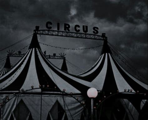 Pin By Isa On Lit Caraval Circus Aesthetic Night Circus Dark Circus