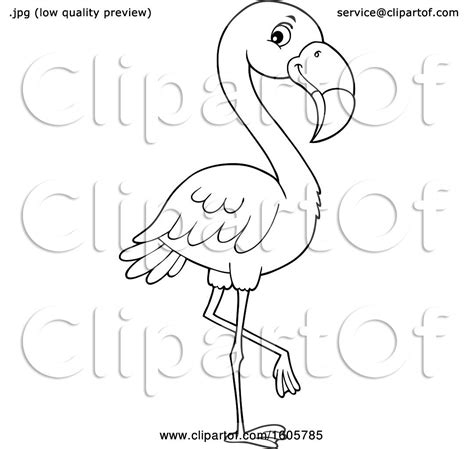 Clipart Of A Black And White Flamingo Bird Royalty Free Vector