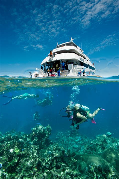 Cairns Dive And Snorkel Tour Dive Cairns Great Barrier Reef Tour