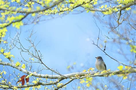 Spring The Season For A Fresh Start Therapy Changes