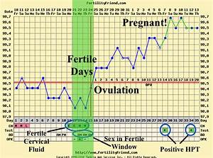 Normal Temperature When Pregnantsg