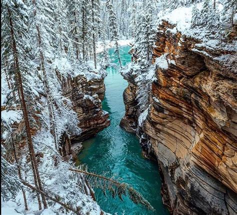 The Athabasca Falls Look Beautiful This Time Of Year Photo