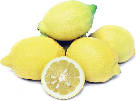 Organic Lemons Information And Facts