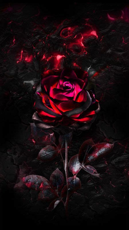 Burning Rose Wallpaper Have A Question Ai Instagram