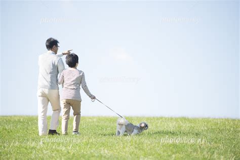 草原で犬の散歩をするシニア夫婦の後姿 写真素材 5673704 フォトライブラリー Photolibrary