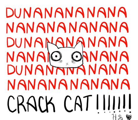 Crack Cat 2 By Punkgaaragirl17 On Deviantart