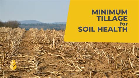 Conservation Tillage Practices In Carbon Farming For Soil Health Youtube