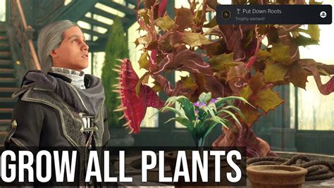 Hogwarts Legacy Put Down Roots Trophy Guide: How to Grow Every Plant