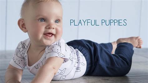 Pin On Playful Puppies