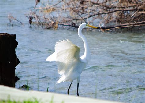 Carteret County, NC - Photo Gallery