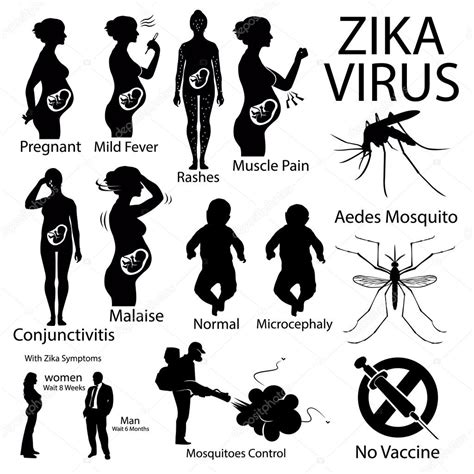 Zika Virus Infographic With Pregnant Woman — Stock Vector © Milesthone
