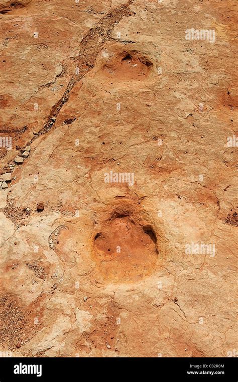 Three Toed Dinosaur Footprint Hi Res Stock Photography And Images Alamy