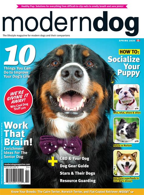 Modern Dog Spring 2020 By Modern Dog Magazine Issuu