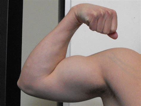 Large Biceps Exercises To Build Bigger Biceps Without Using Weights