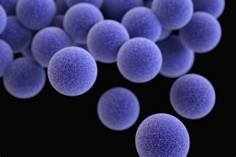 Overview Of Mrsa Symptoms Diagnosis And Treatment