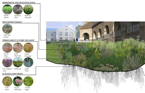 Plant Palette Landscape Architecture