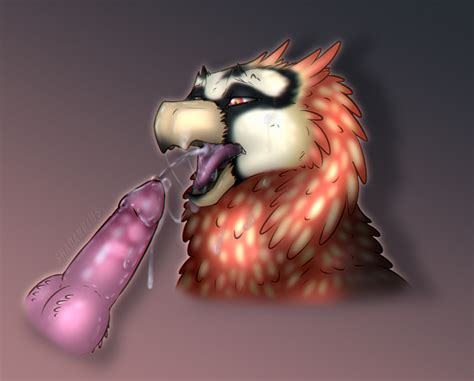 Rule 34 Accipitrid Accipitriform Ambiguous Gender Avian Bearded