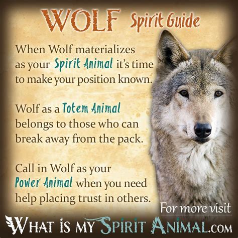 Wolf Symbolism And Meaning Spirit Totem And Power Animal Wolf