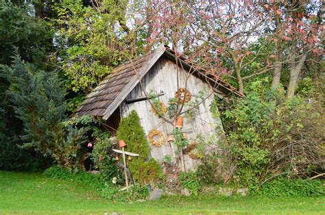 Free Images Tree Forest Trail Flower Hut Jungle Cottage Autumn