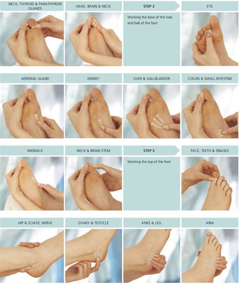 Complete Self Help Foot Sequence Foot Massage Techniques Massage Techniques Massage Therapy