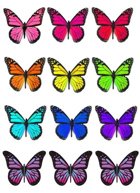 Butterfly Cutout Butterfly Images Butterfly Clip Art Butterfly