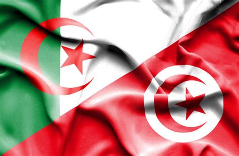 État d'afrique du nord, l'algérie, baignée au nord par la méditerranée, est limitée à l'ouest par le maroc et le sahara. Drapeau Algerie Banque d'images et photos libres de droit ...