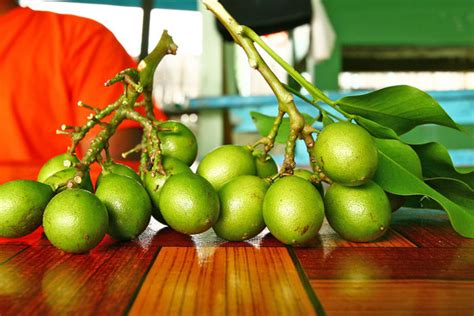 Genip Find Out How They Can Be Healthy And Delicious At The Same Time