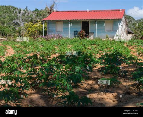The Front Of A Typical Small Rural Cuban House As Viewed From The