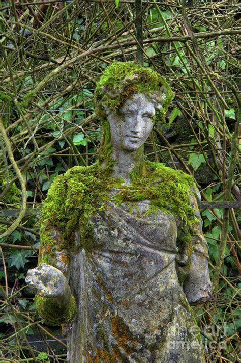 Mossy Statue Photograph By Edna W Fine Art America