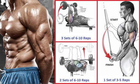 A Powerful Tricep Routine For Stimulating Growth All