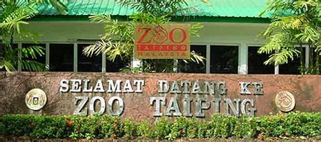 Pastikan anda tunjuk mykad ketika membeli tiket di kaunter. myaini.blogspot: Melawat Zoo Taiping
