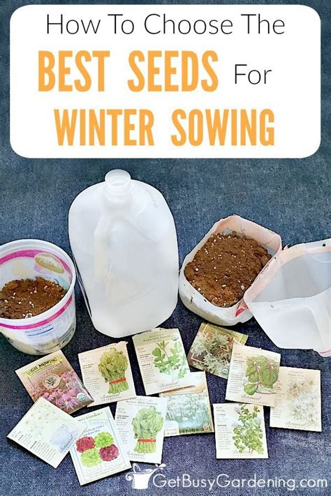 How To Choose The Best Seeds For Winter Sowing Growing Winter