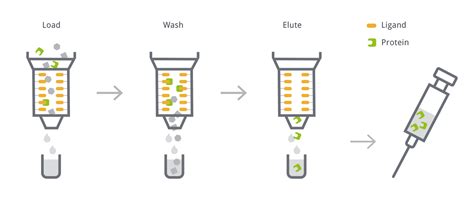 Affinity Chromatography For Recombinant Protein Purification