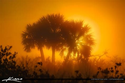 Florida Landscape Foggy Morning At Juno Dunes Natural Area Hdr