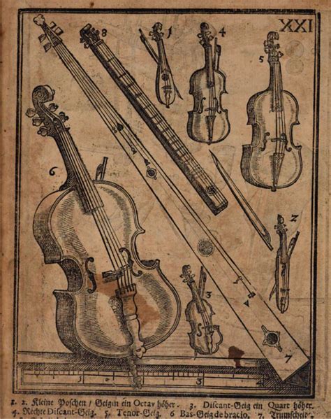 La Nueva Familia De Violines De Carleen Maley Hutchins — Cuaderno De